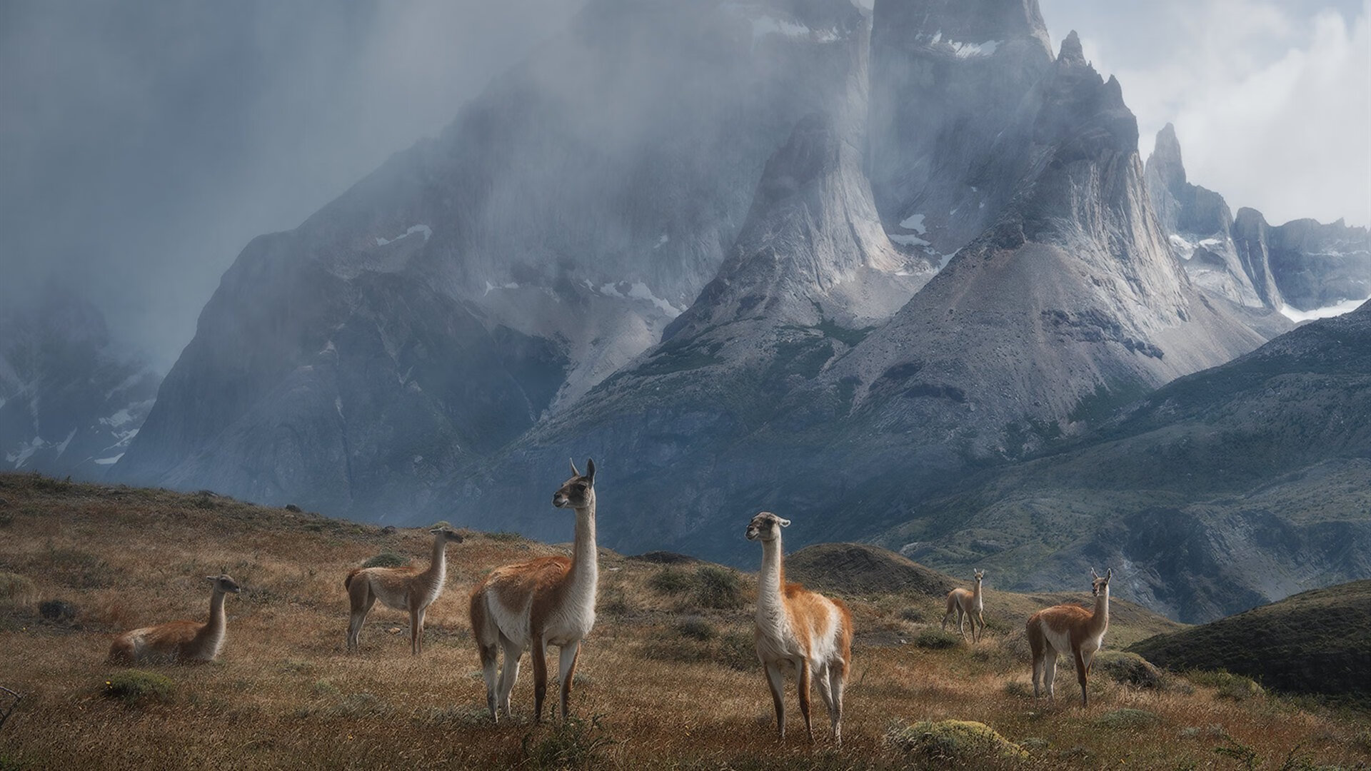 中国足球边后卫助攻与防守平衡数据，足球边后卫和中后卫