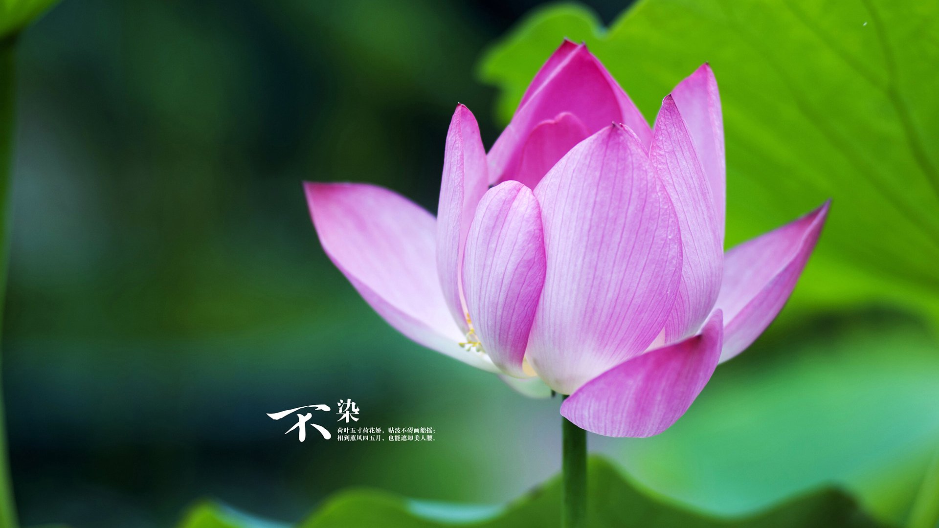 爱游戏官网充值-中超球队年度战术调整成功率排行榜，中超梯队要求